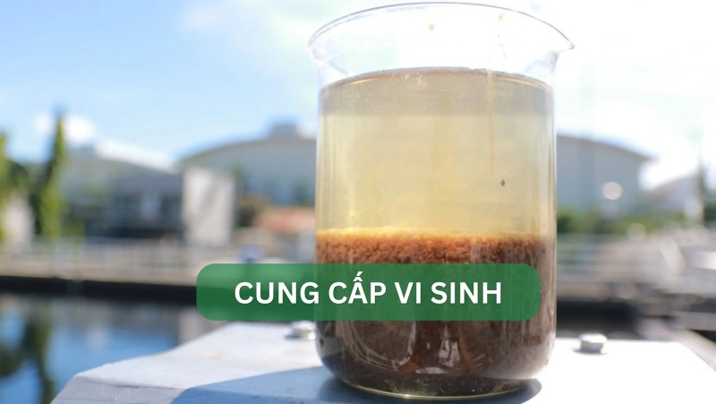 Cung cấp vi sinh