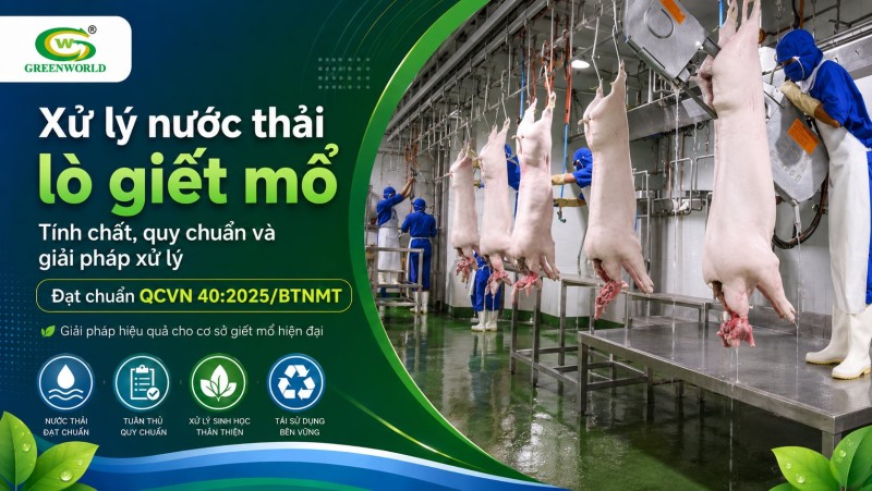Xử lí Nước Thải lò giết mổ: Tính Chất, Quy Chuẩn Và Giải Pháp Xử Lý Đạt Chuẩn QCVN 40:2025/BTNMT