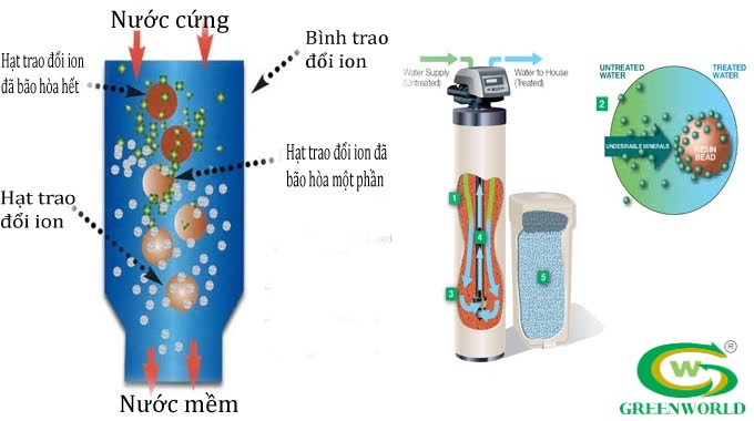 Nguyên lý hoạt động của hệ thống trao đổi ion