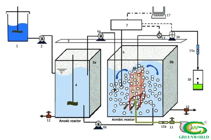 Cấu tạo của bể anoxic